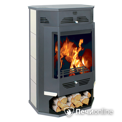 Печь-камин Теплодар Румба в Щербинке