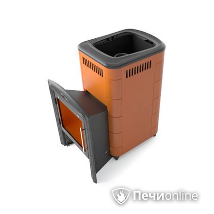 Дровяная печь-каменка TMF Тунгуска Cast Витра терракота в Щербинке