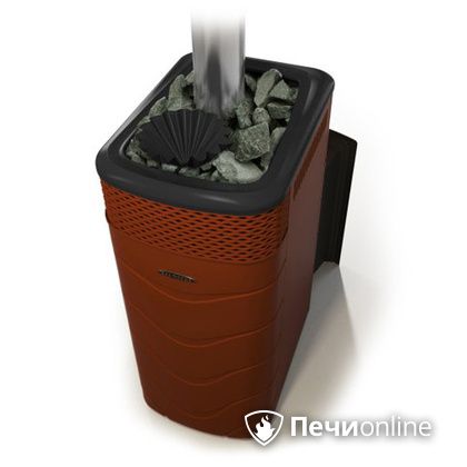 Дровяная банная печь TMF Гейзер XXL 2017 Inox Витра закрытая каменка терракота в Щербинке
